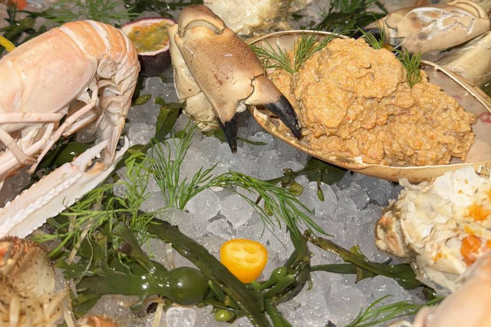 Catering de ostras y marisco