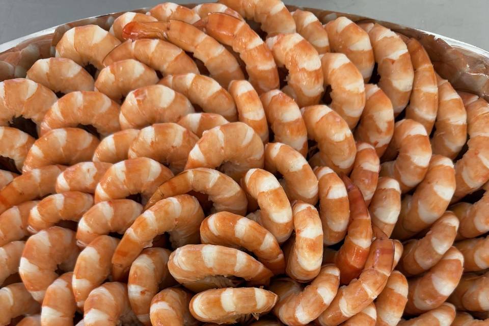 Catering de ostras y marisco