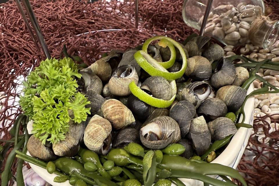 Catering de ostras y marisco