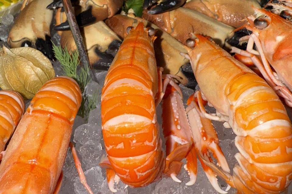 Catering de ostras y marisco