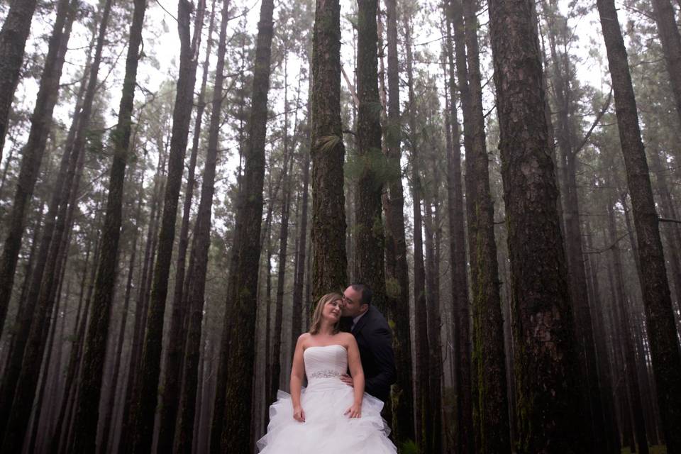 Postboda Tenerife