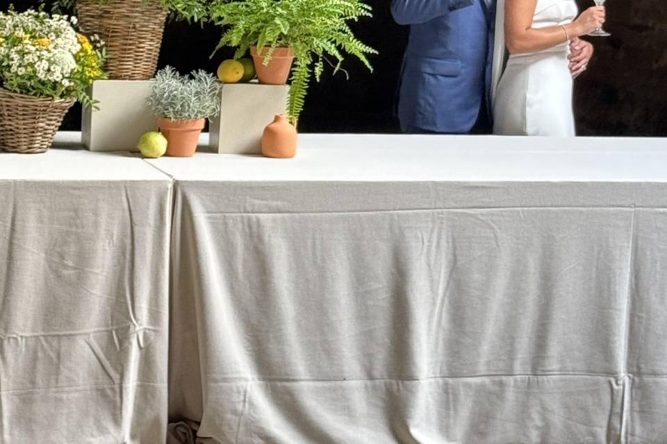 Vivan los novios