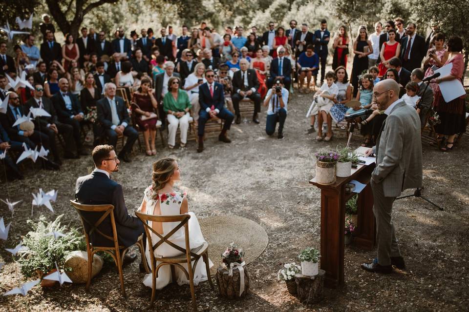 Boda en Madrid