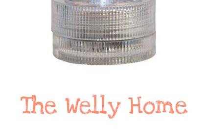 The Welly Home