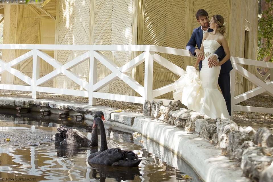 Cristina Tanas Novias