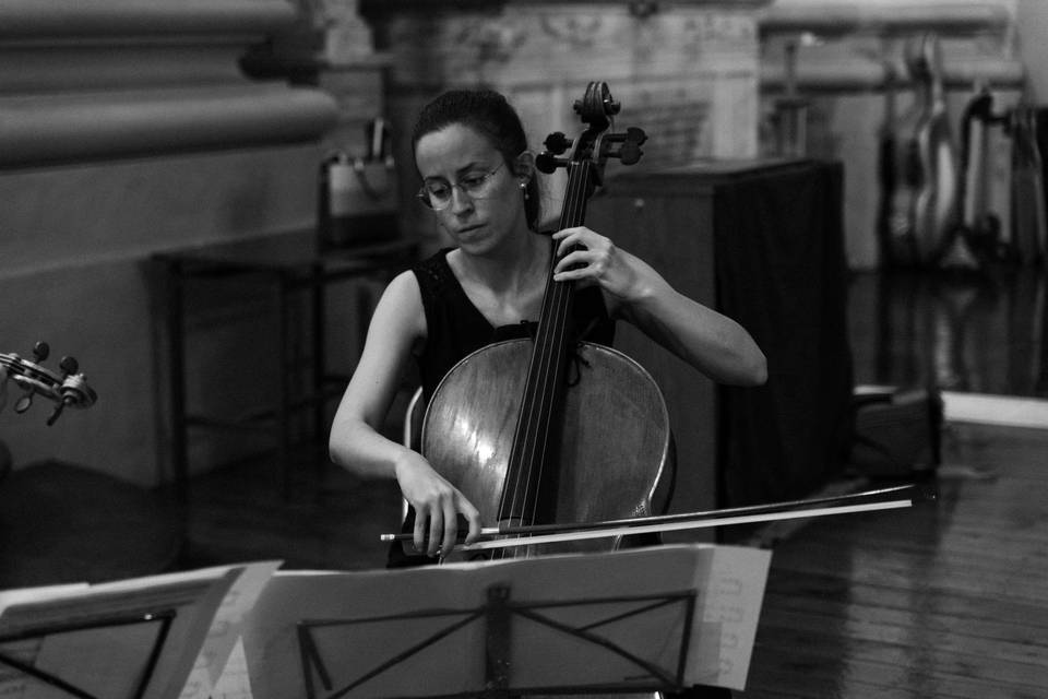 Violonchelo en blanco y negro