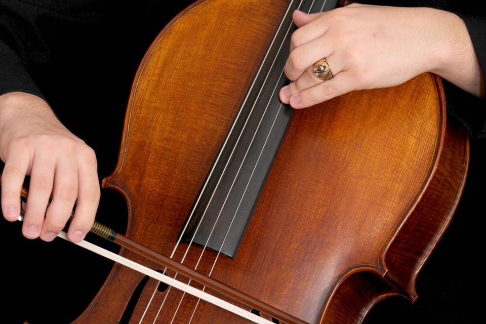 Violonchelo