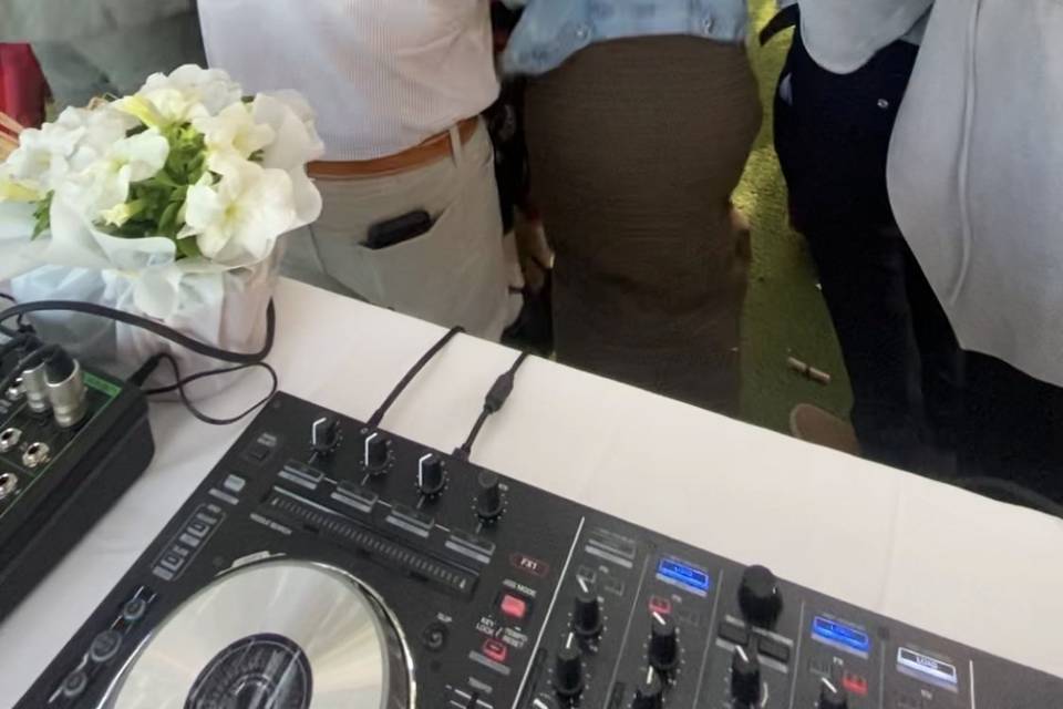 Fiesta asegurada