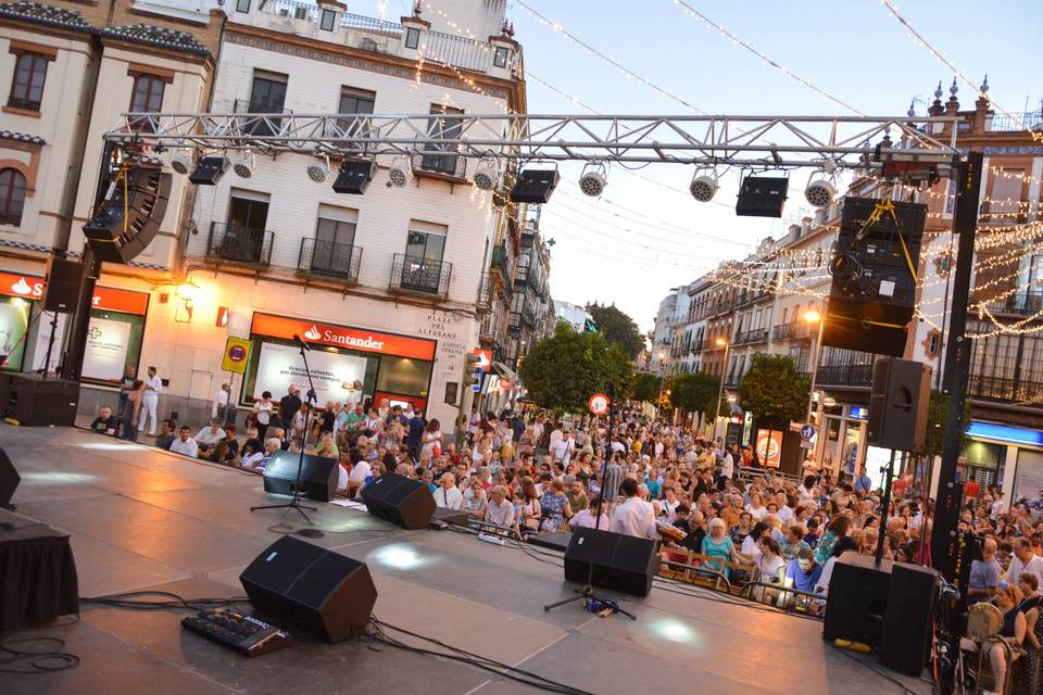 Sonido y estructuras