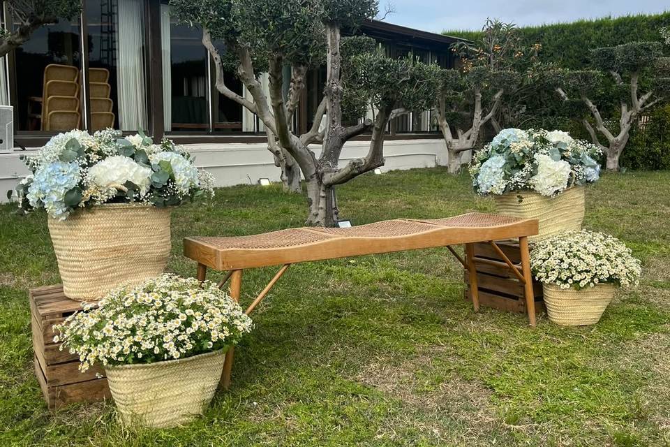 Banqueta de novios