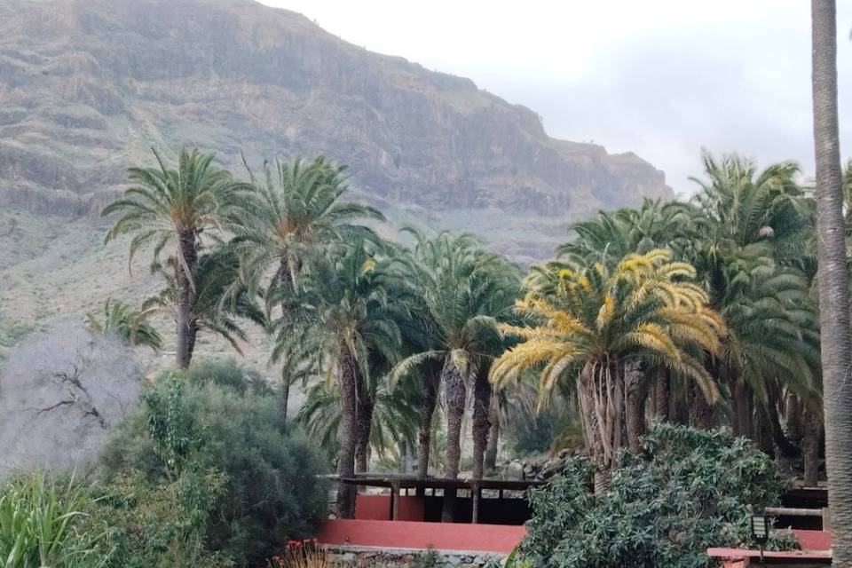 Jardines tropicales
