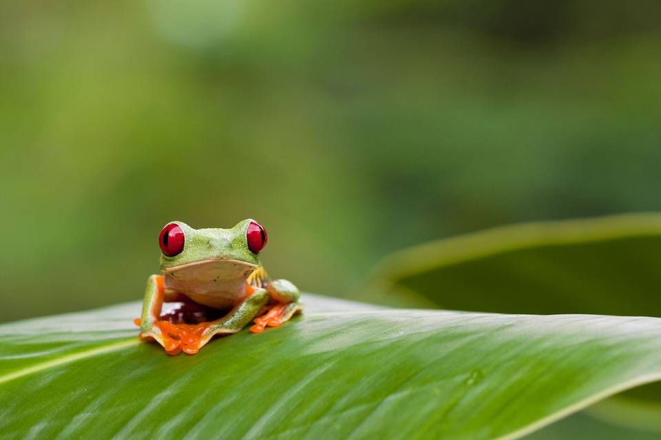 Costa Rica