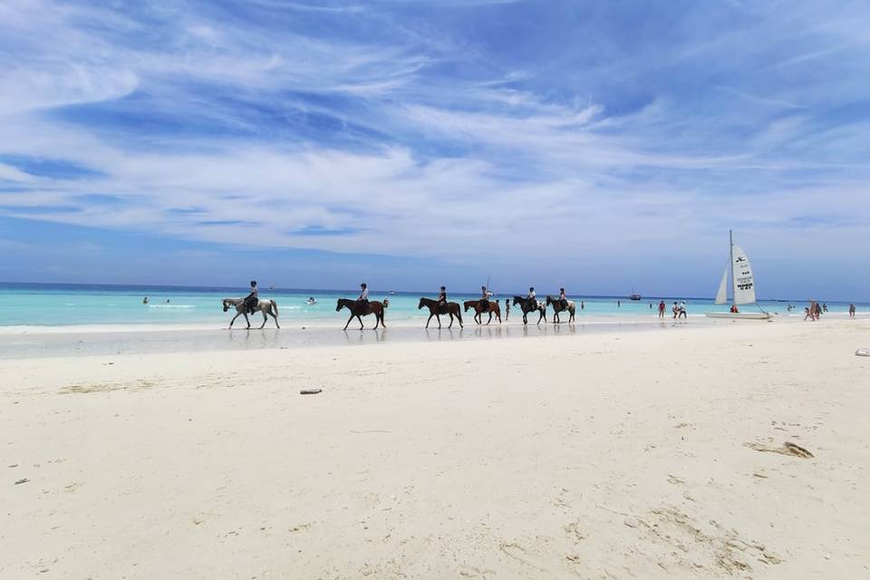 Playas paradisíacas