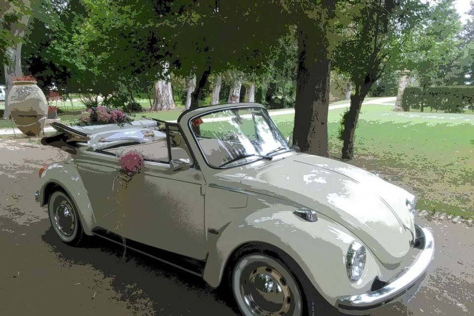 Coches para Bodas