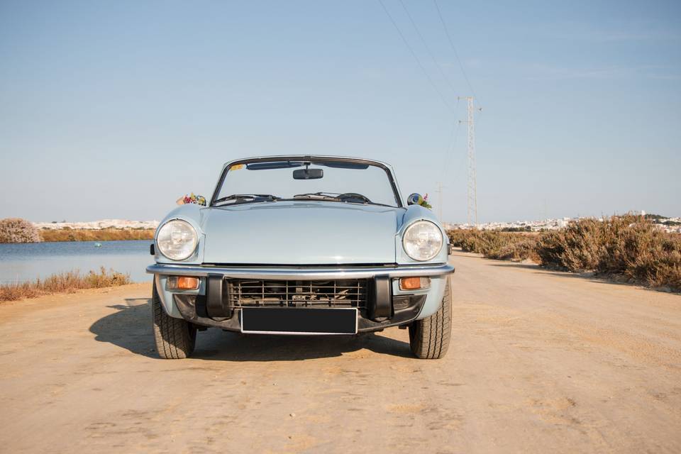 coche_convertible_azul_detalle_flores