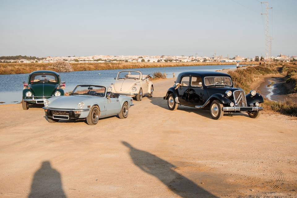 coches_vintage_exterior_lago