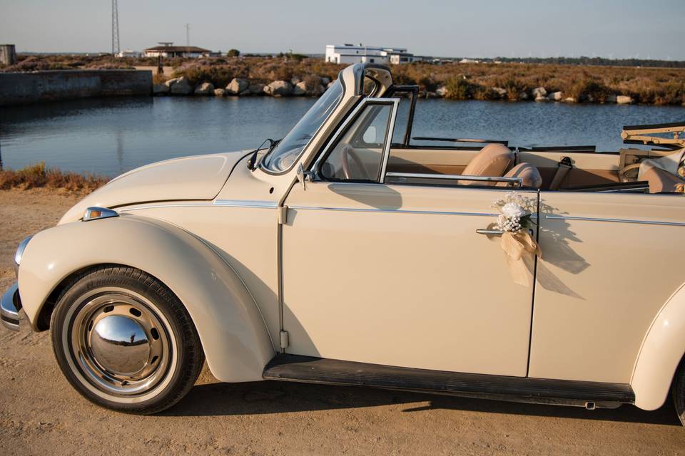 detalle_flor_lazo_puerta_coche_beige