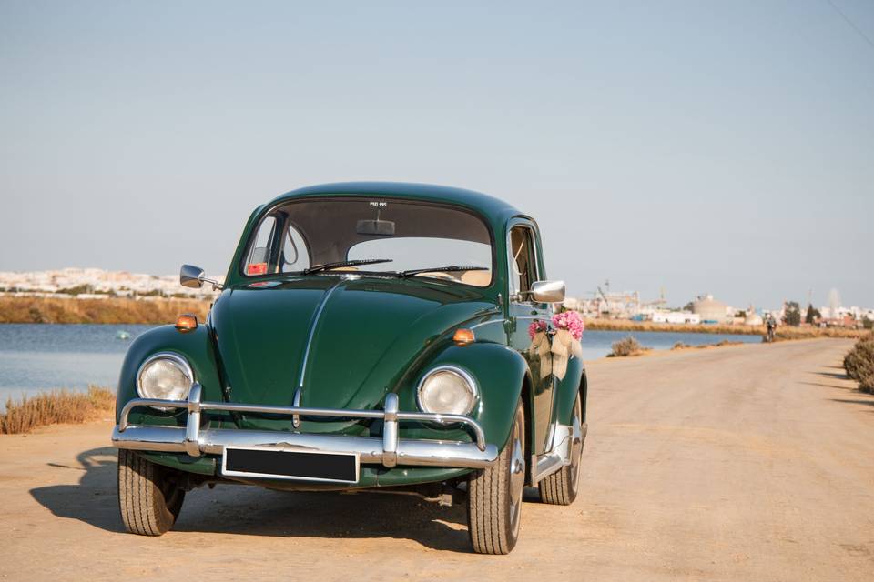 volkswagen_verde_flores_laterales