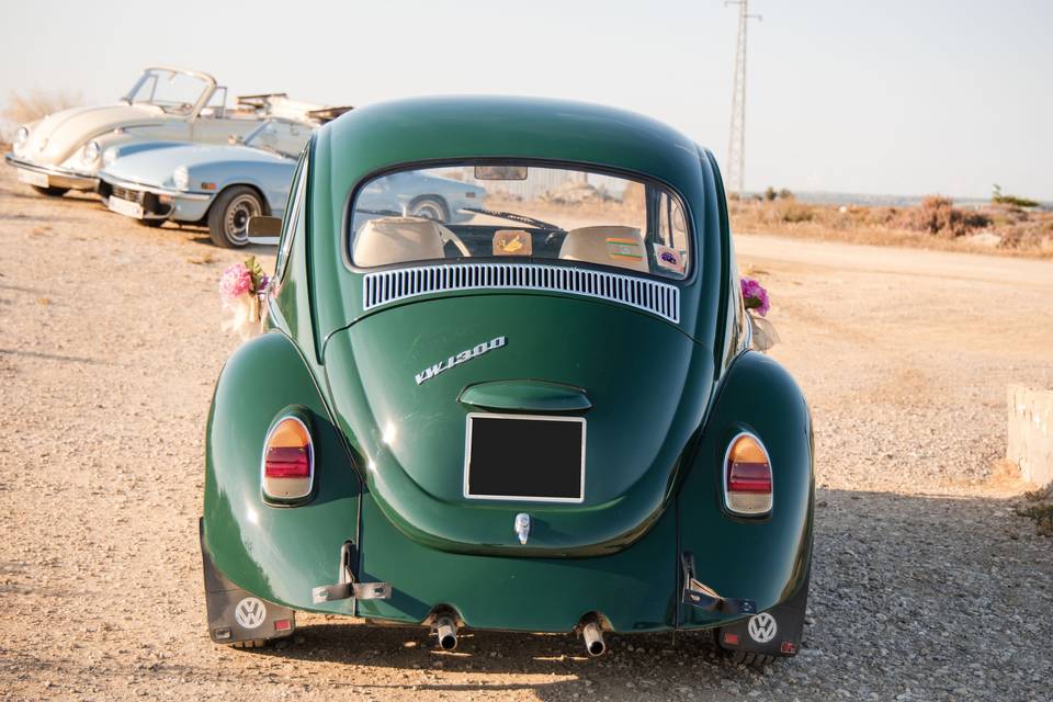 volkswagen_verde_flores_puerta