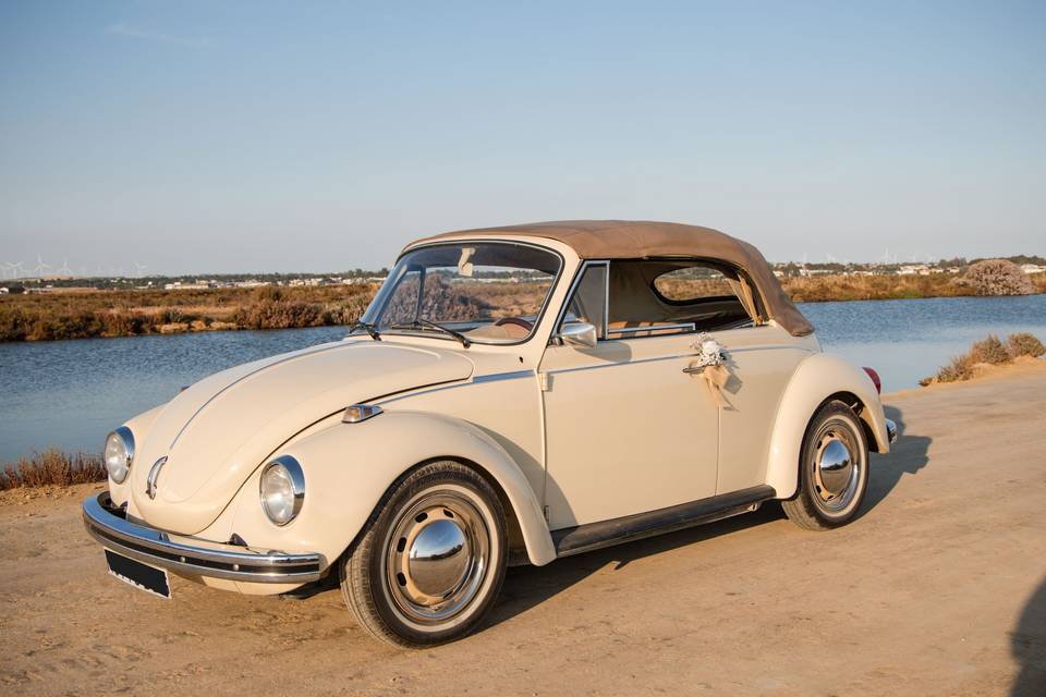 volkswagen_vintage_beige_lateral_flor