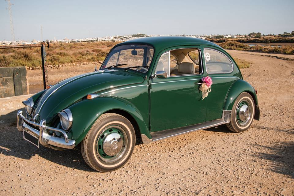 volkswagen_vintage_verde_flor_lateral