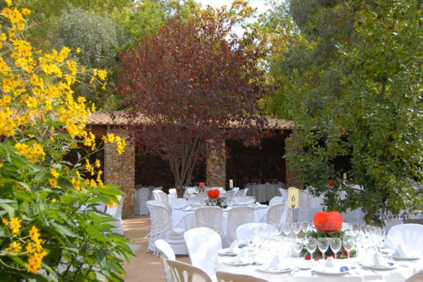 Banquete en jardín