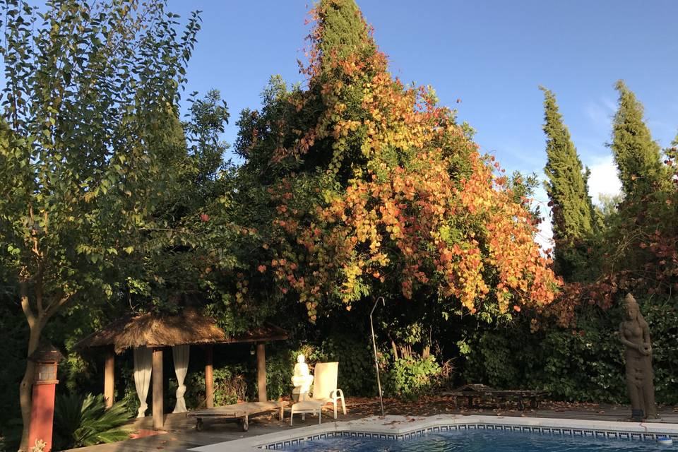 Piscina en invierno