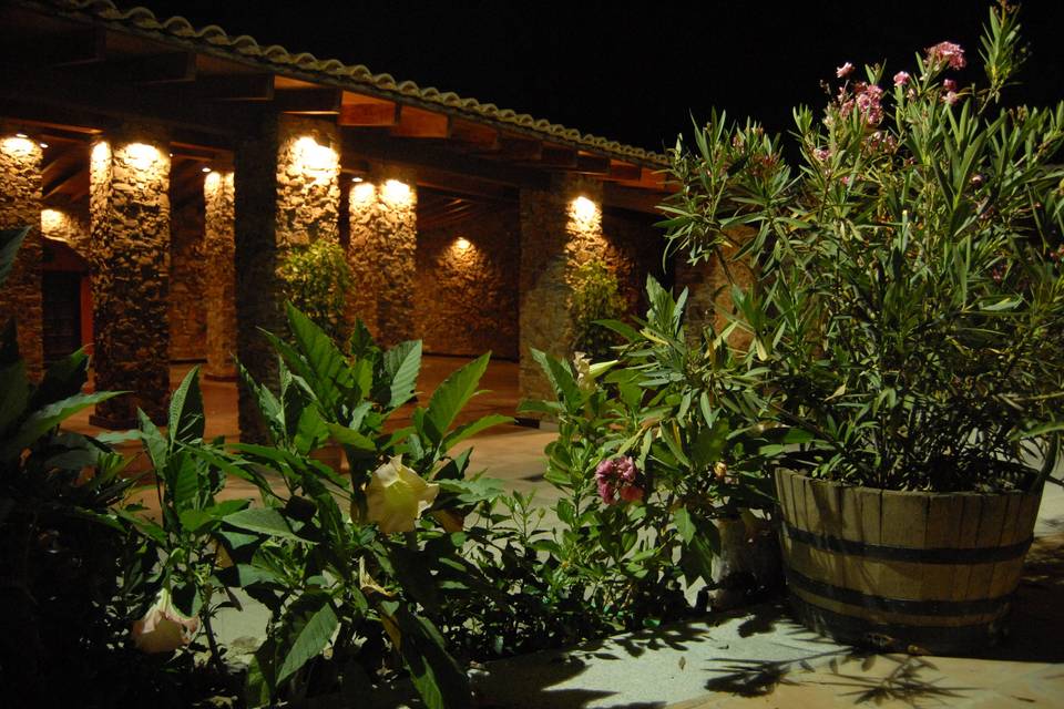 Jardín de noche