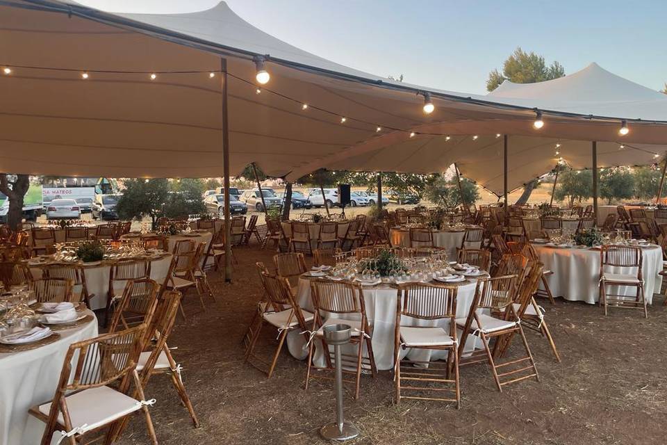 CARPA JARDINES