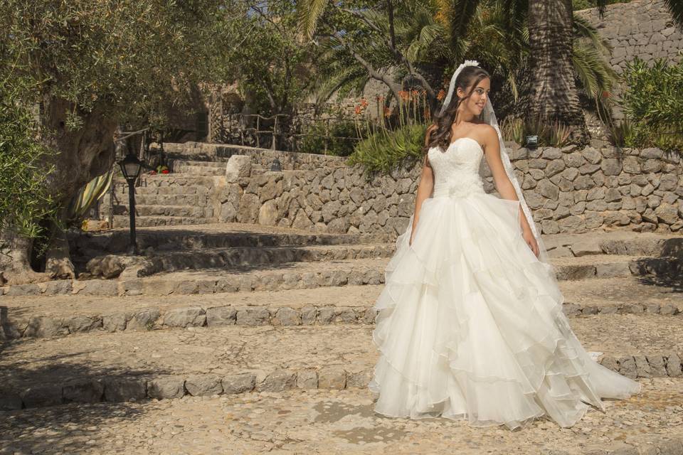 Bonaire Novias