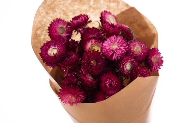 Flores secas