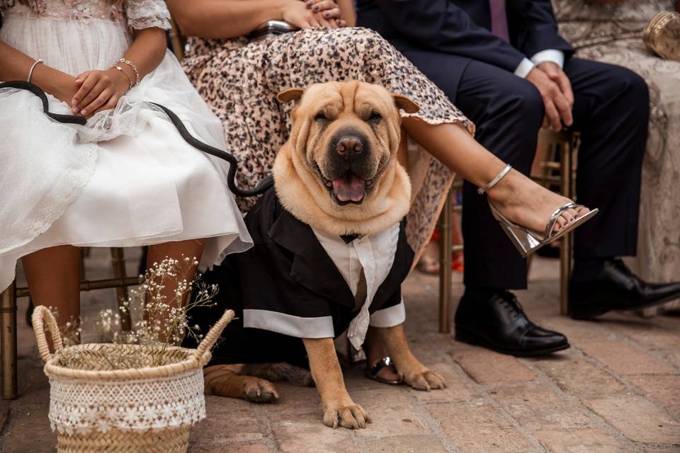 Postboda en el campo