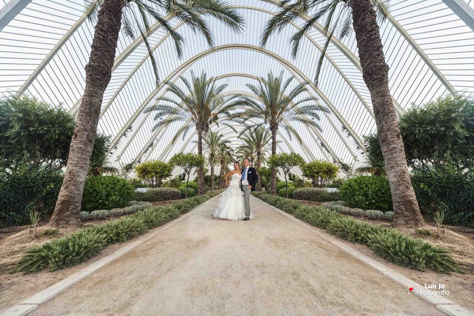 Postboda en Valencia