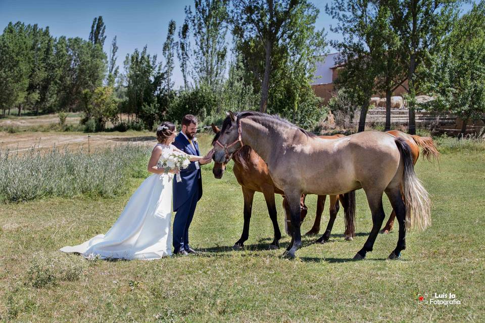 Luis Ja Fotografía