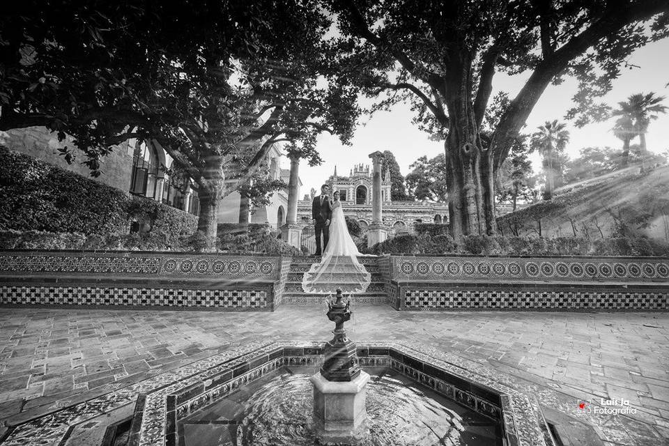 Postboda en Sevilla