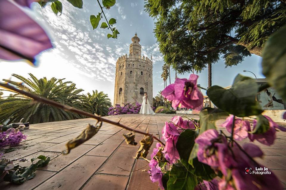 Postboda en Sevilla