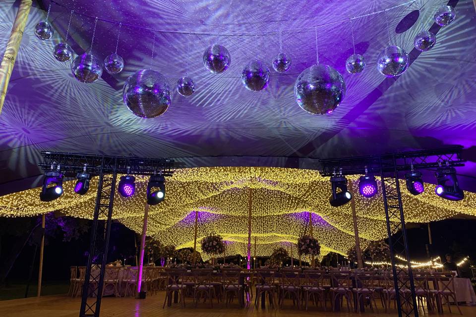 Disco + banquete