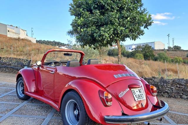 Volskwagen Beetle