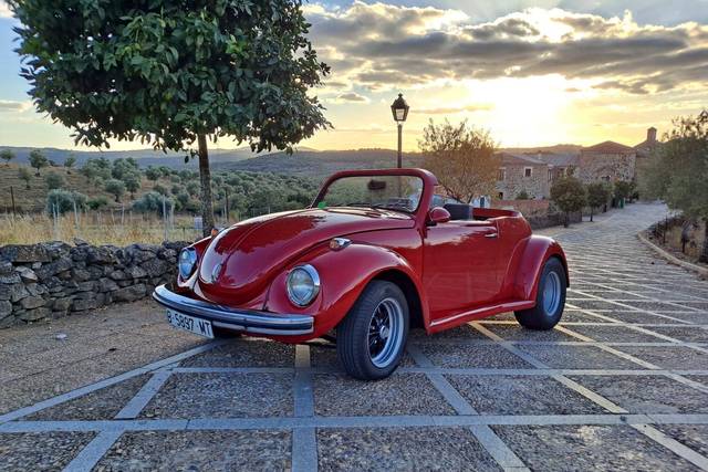 Volskwagen Beetle