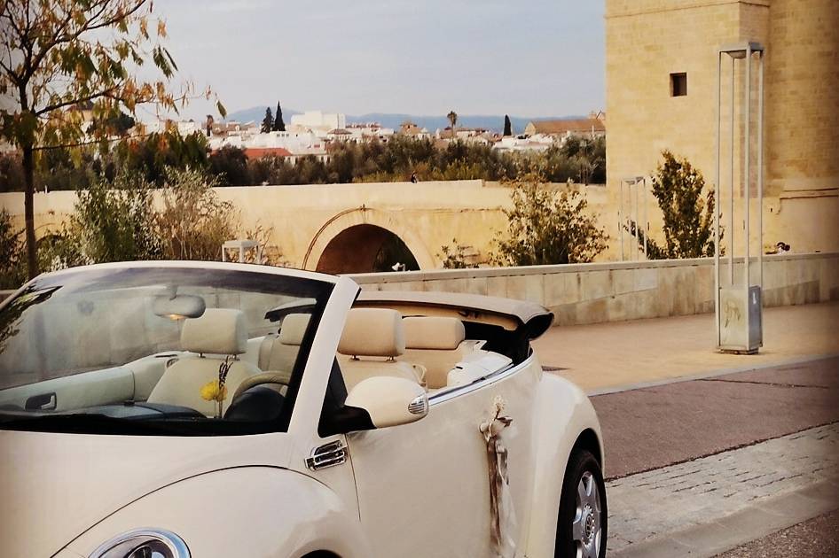 Beetle Love Bodas