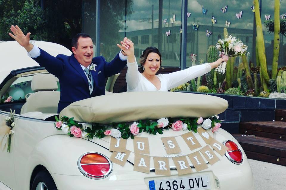 Beetle Love Bodas