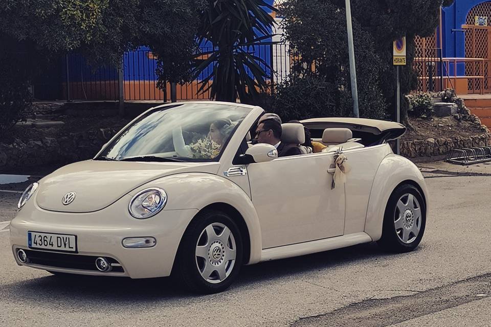 Beetle Love Bodas