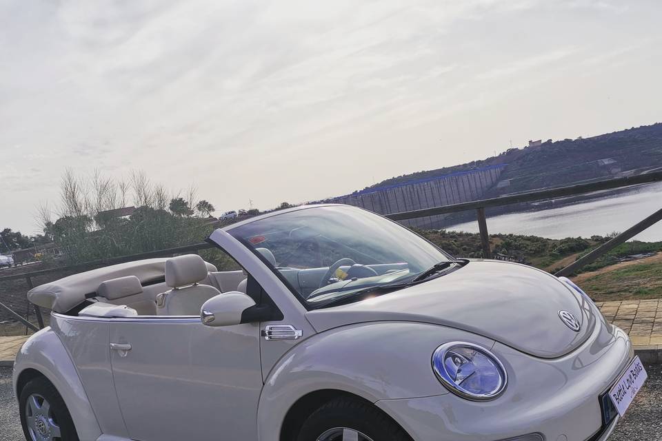 Beetle Love Bodas