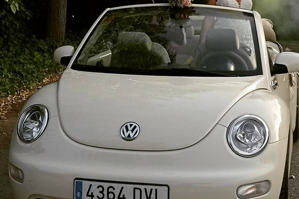 Beetle Love Bodas