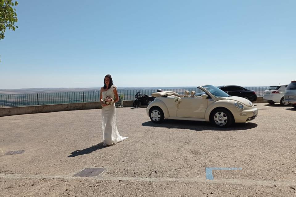 Beetle Love Bodas