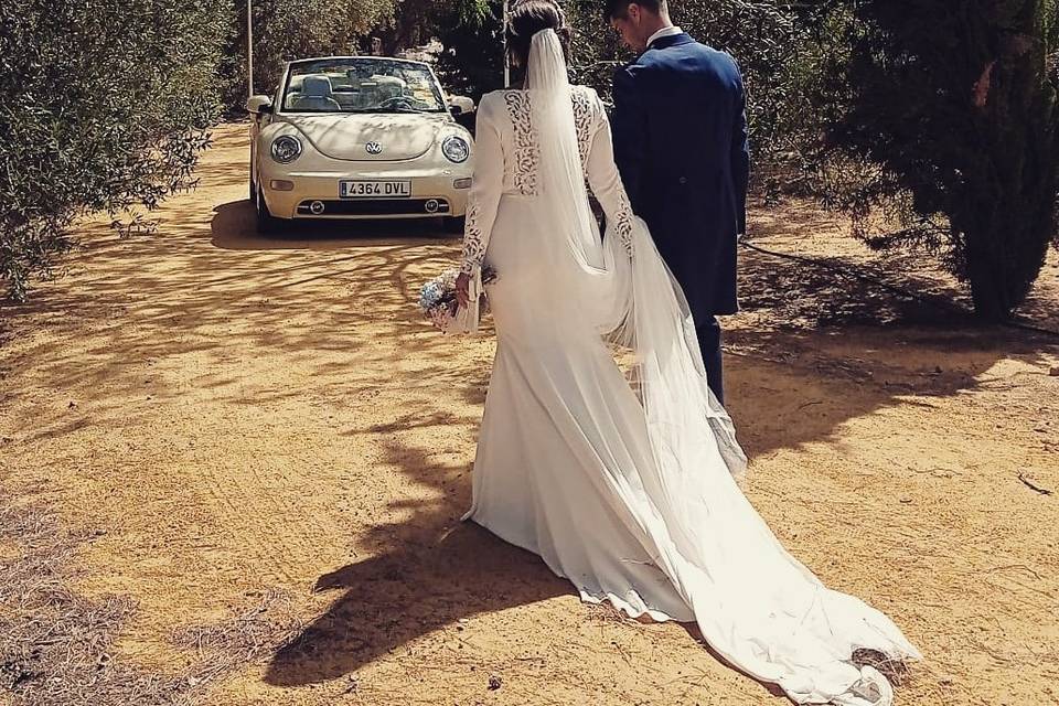 Beetle Love Bodas