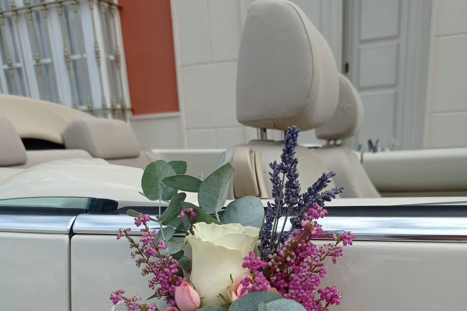Beetle Love Bodas