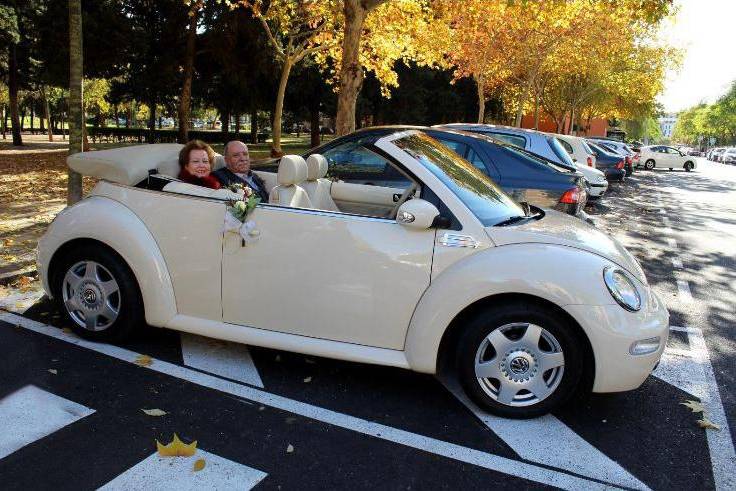 Beetle Love Bodas