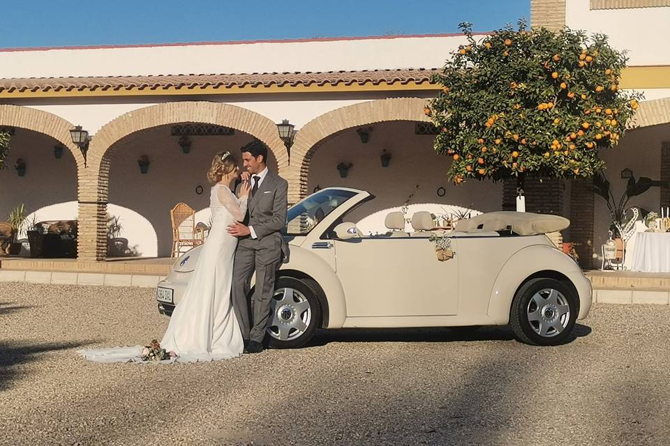 Beetle Love Bodas