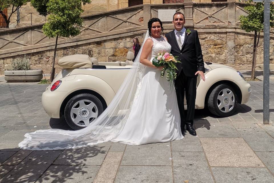Beetle Love Bodas